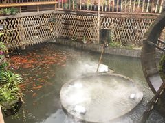 -老字号农家宴