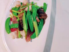 -云中小雅