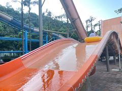 -重庆海昌加勒比海水世界