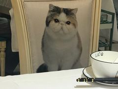 -猫先生时尚火锅(桂平路店)