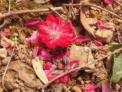 -水濂山森林公园