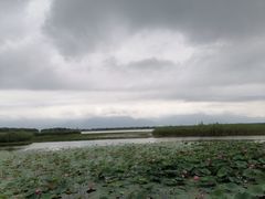 -永定河休闲森林公园