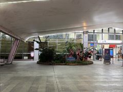 -德宏芒市国际机场