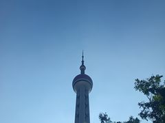 -小杨生煎(东方明珠店)