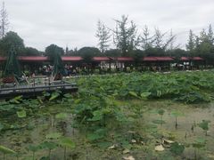 -洪湖家庭农场·团建·露营·会议