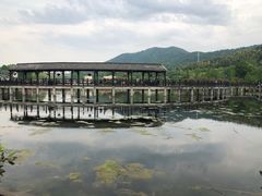 -石塘人家