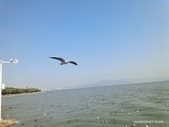 -深圳湾公园(南山区)
