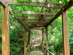 -大岭沟猕猴桃谷风景区