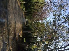 iphone_upload_pic-白塘生态植物园