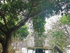 -云龙湖旅游景区