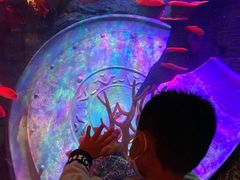 -沈阳海洋探索中心