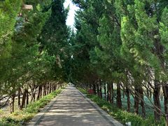 -洛阳市隋唐城遗址植物园