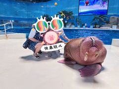 -泉城欧乐堡海洋极地世界
