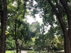 -玲珑塔公园