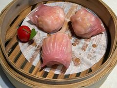 -点都德·毕德寮