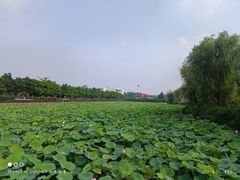 -南京信息职业技术学院