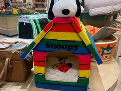 -帕帕拉兹宠物(亚洲旗舰店)