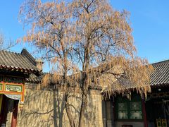 -张学良旧居陈列馆