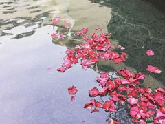 -苏州湾王焰温泉度假酒店