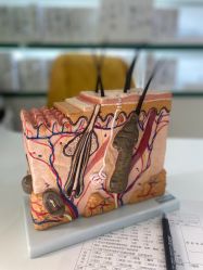 -清颜堂专业祛痘