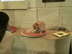 -逃脱反斗城沉浸剧情密室(北京路店)