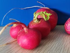 -东川新街市(东川市场店)