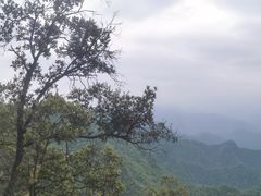 -塔云山
