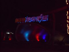 -枫花园汽车电影院(朝阳公园店)