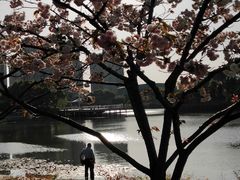 -新江湾城公园