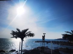 -Vanillacafe香草咖啡(银海大世界店)