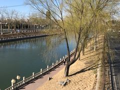 -玲珑塔公园