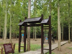 -东平国家森林公园