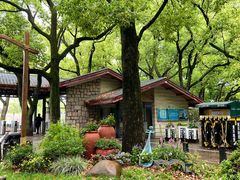 -上海共青森林公园