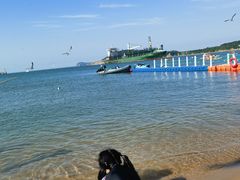-海驴岛(荣成市)