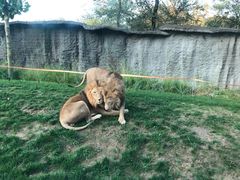 -北京野生动物园