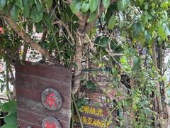 -樂桃源奉贤黄桃种植采摘基地