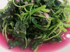 -高老庄绿色传奇(昊元生活广场店)