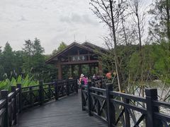 -海珠湖公园