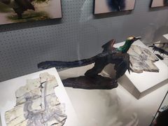 -辽宁古生物博物馆