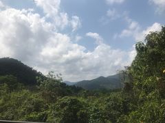 -呀诺达热带雨林