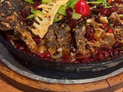 -老板恋上鱼(恒隆广场店)