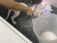 -中农大我爱我爱动物医院·核磁CT·猫病·24小时夜诊中心(石佛营店)