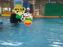 -艾悠宝亲子游泳·水育早教·婴幼儿游泳·儿童游泳