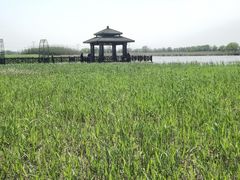 -宁波杭州湾国家湿地公园