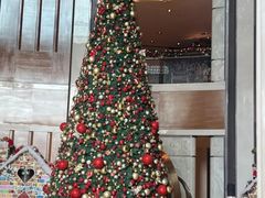 -深圳星河丽思卡尔顿酒店