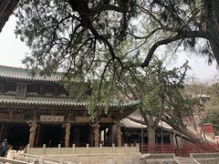 -晋祠公园