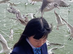 -滇池海埂公园