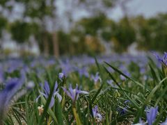 -天津东丽湖风景区