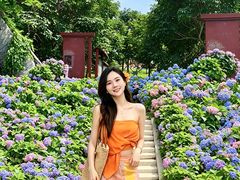 -天适樱花悠乐园