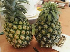 android_upload_pic-御唐府海珊瑚主题餐厅